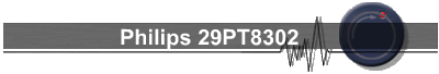 Philips 29PT8302